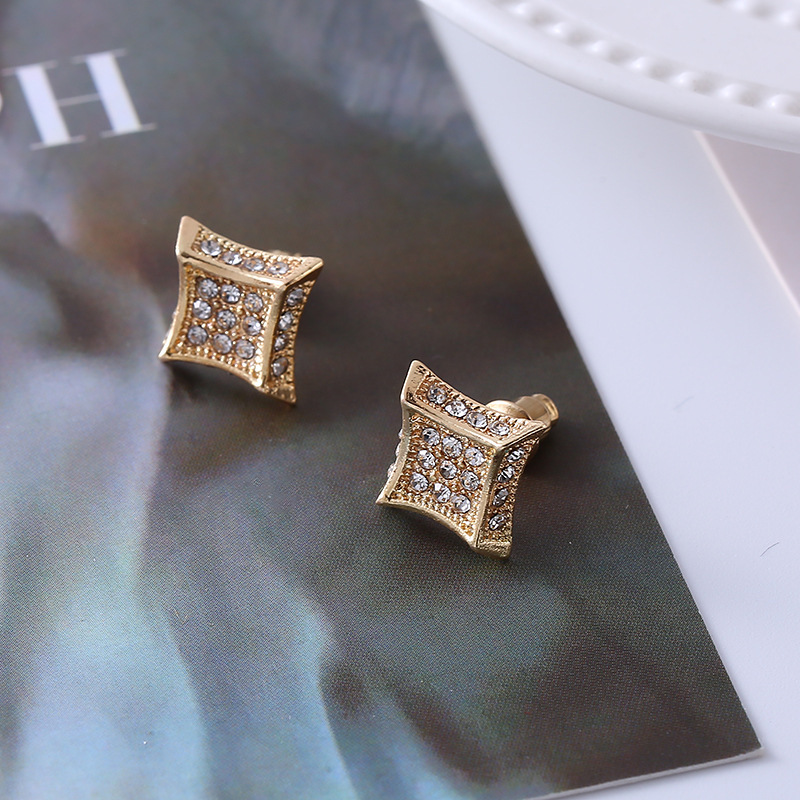 Titanium Steel Small Earrings - Image 10