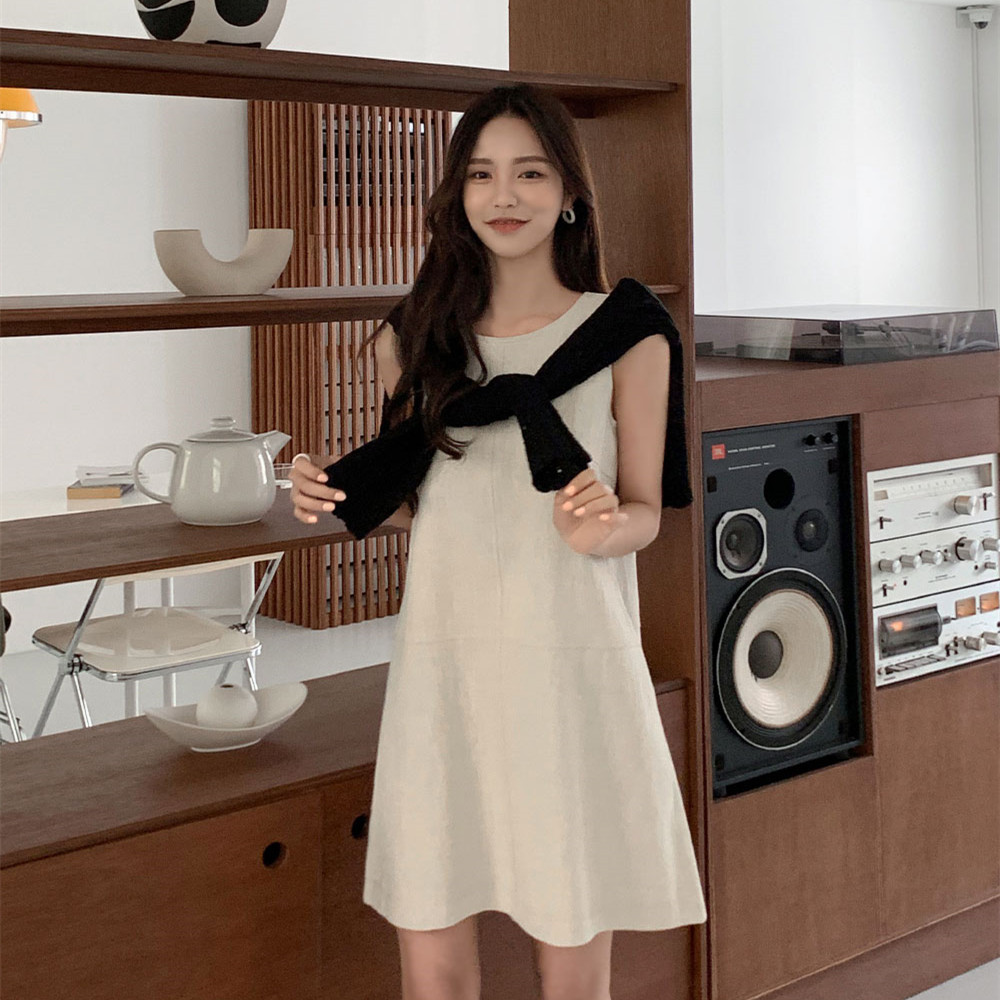 A-line Chic Petite Sense Dress