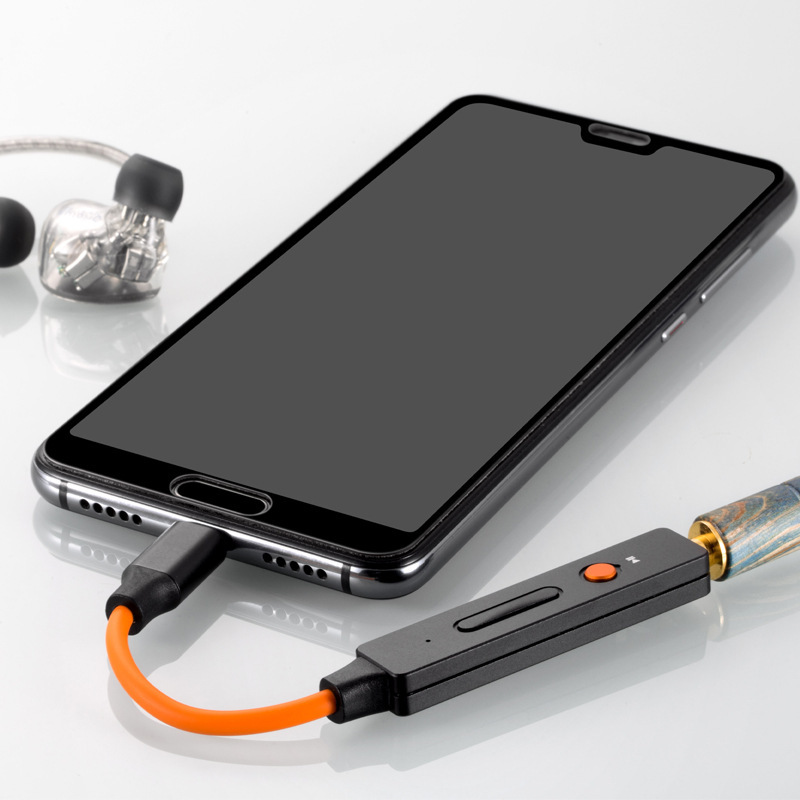 Type-C Amp Cable - Image 4