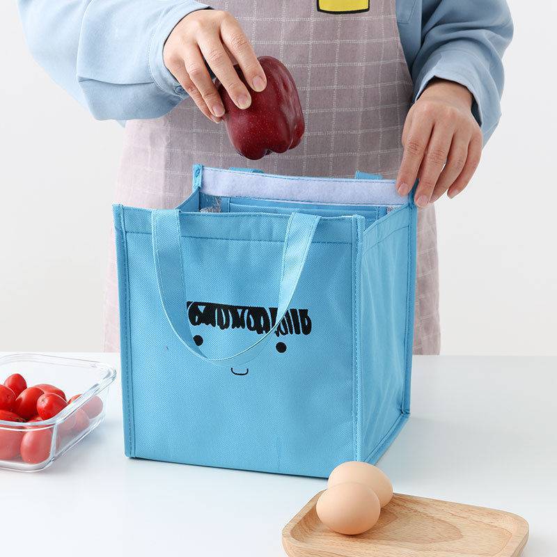 Insulated Thermal Lunch Bag