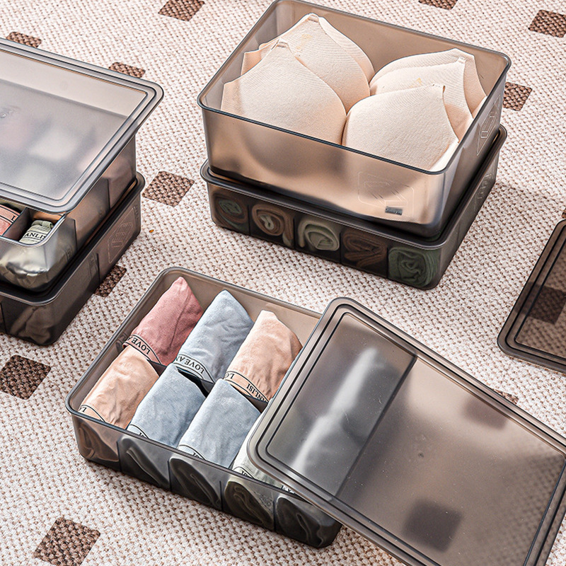 Underwear Bra Socks Wardrobe Storage Box
