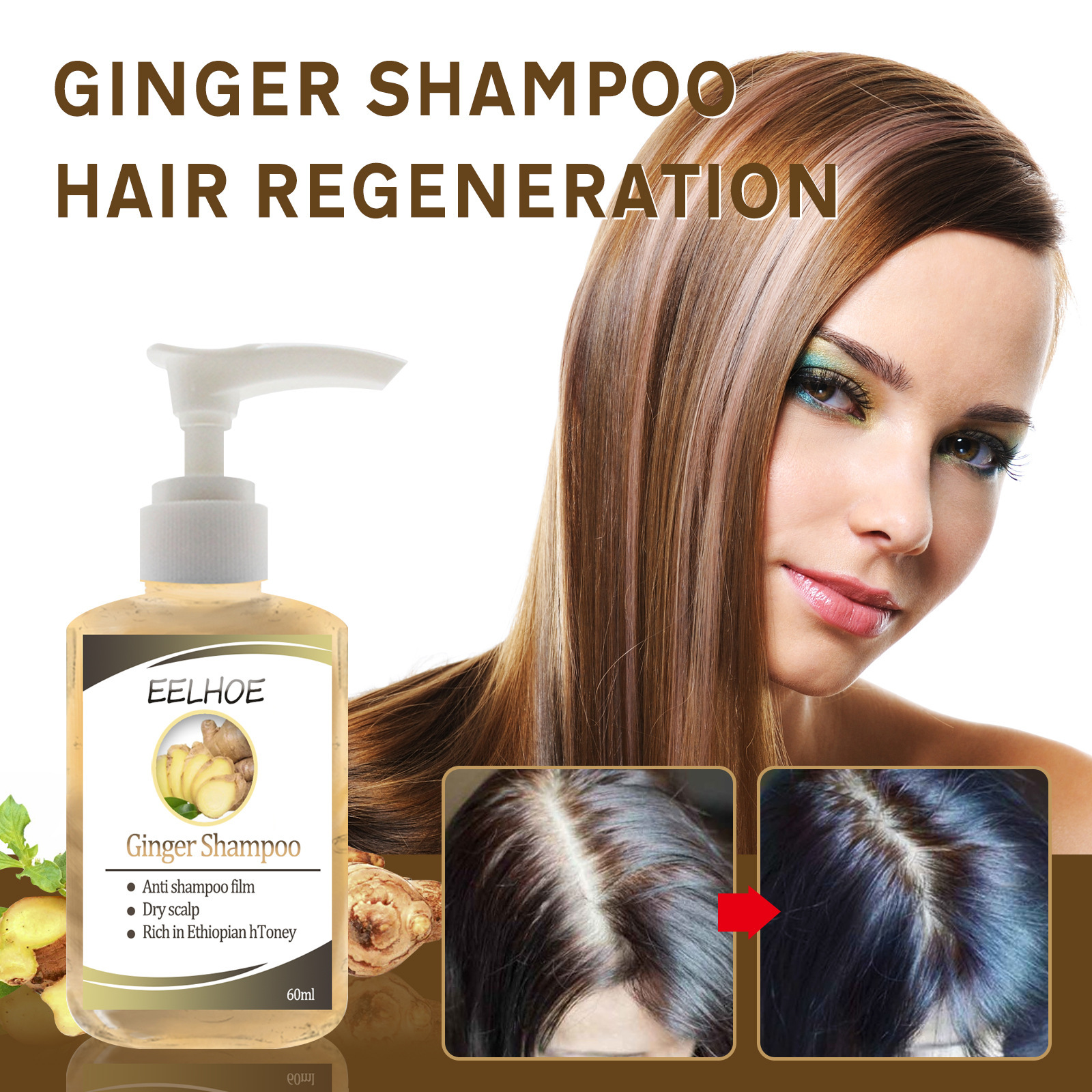Ginger Anti-Dropping Oil Control Shampoo