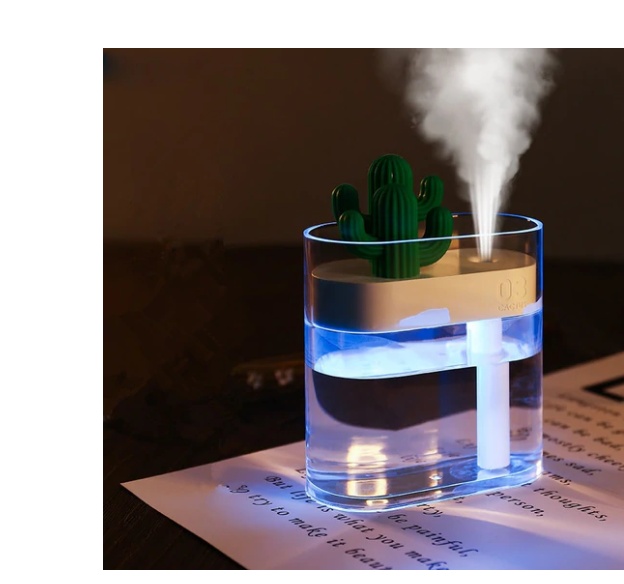 Transparent Landscape Cactus Humidifier