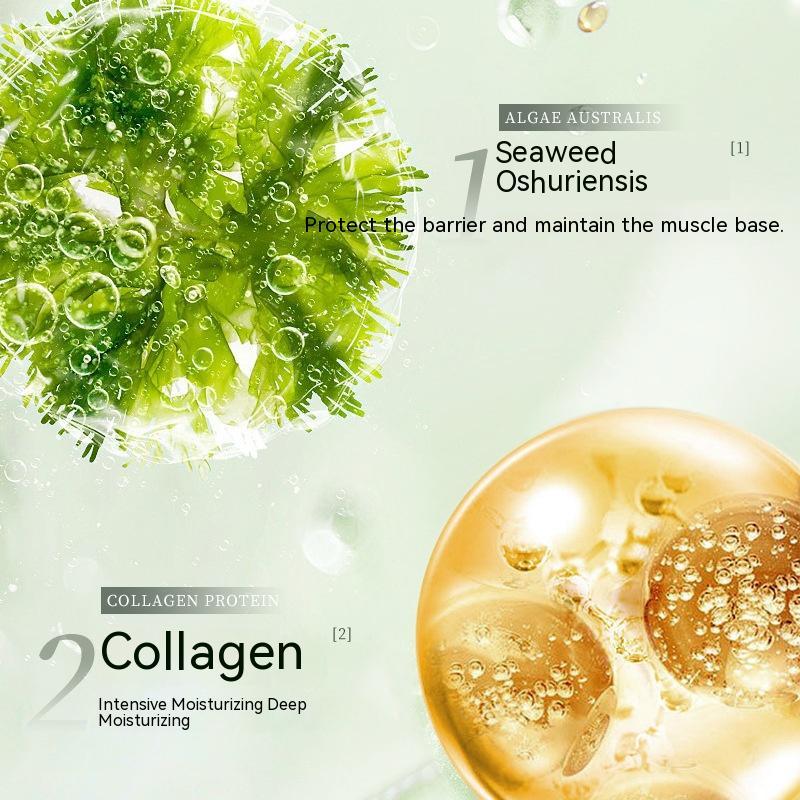 Deep-sea Seaweed Skin Care Kit - Image 6