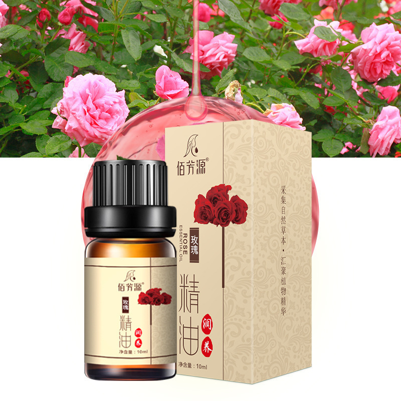 Wormwood Body Massage Organic Essential Oil