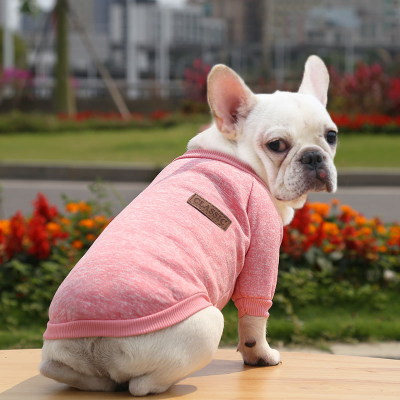 Fall Winter Two-Legged Dog Sweater