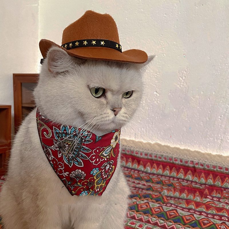 Pet Cowboy Western Decorative Hat - Image 4