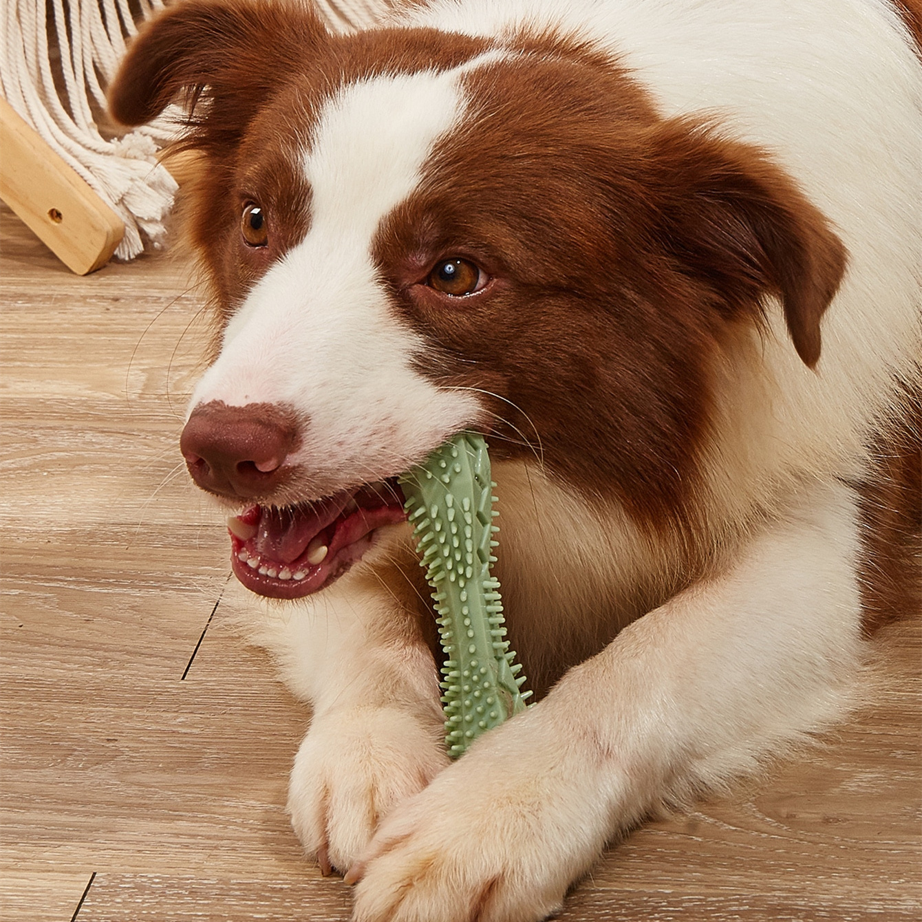 Pet Teeth Cleaning Chew Toys for Dog