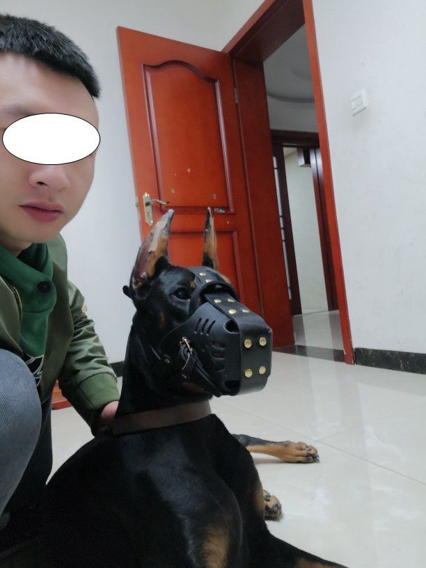 Pet Cowhide Dog Muzzle - Image 4