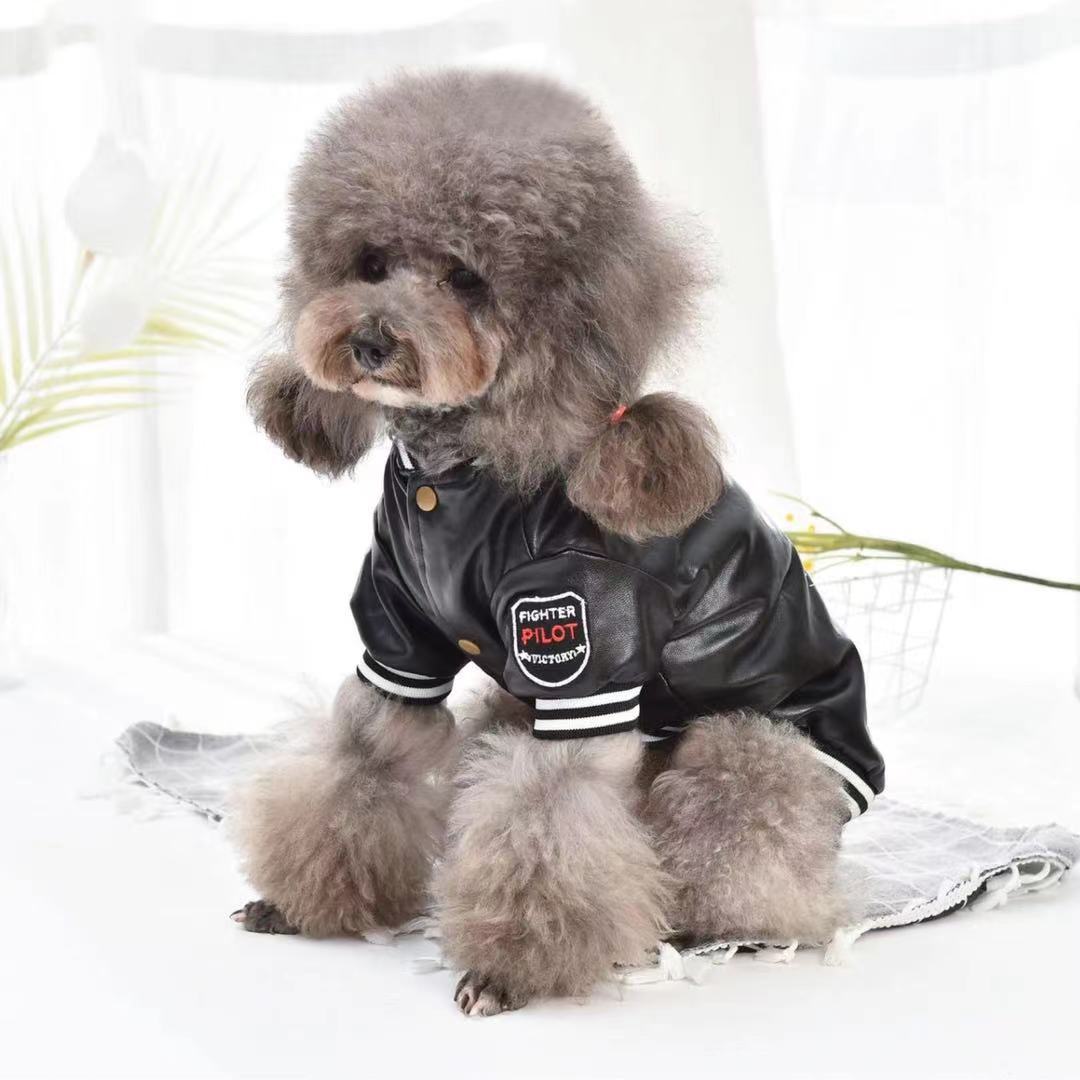 Cotton-Padded Dog Leather Printed Suit - Image 5