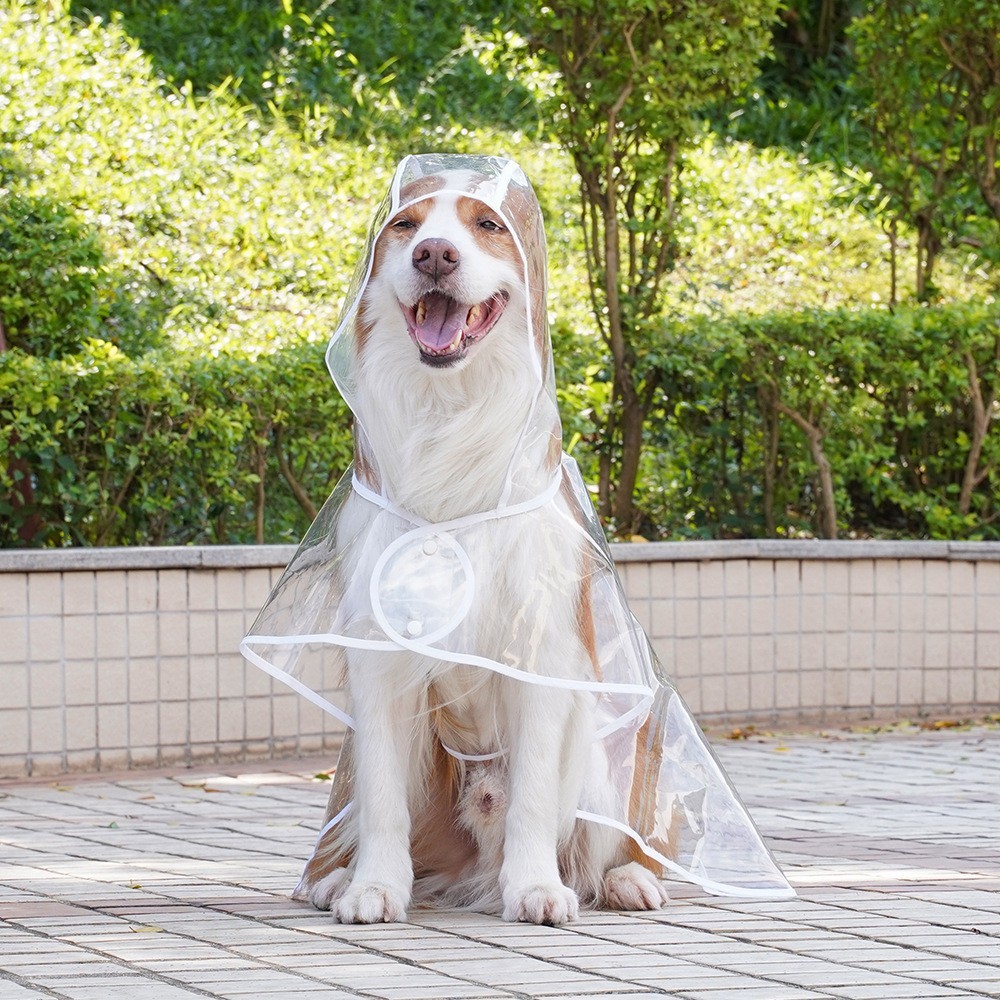 Waterproof Clear Breathable Raincoat With Hooded - Image 5