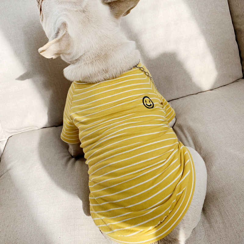 Mini Cute Dog & Parent Matching Suit - Image 2