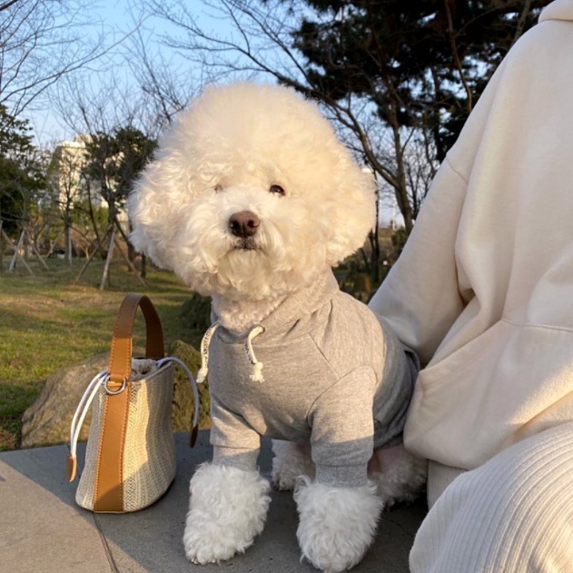 Fashion Simple Pet Dog Sweater - Image 7