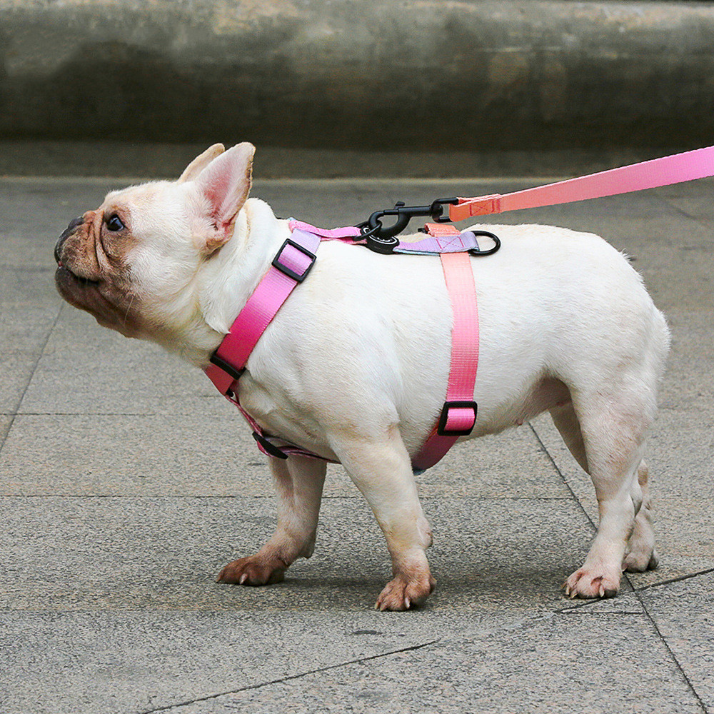 Medium And Large Chest Strap Pet Collar - Image 7