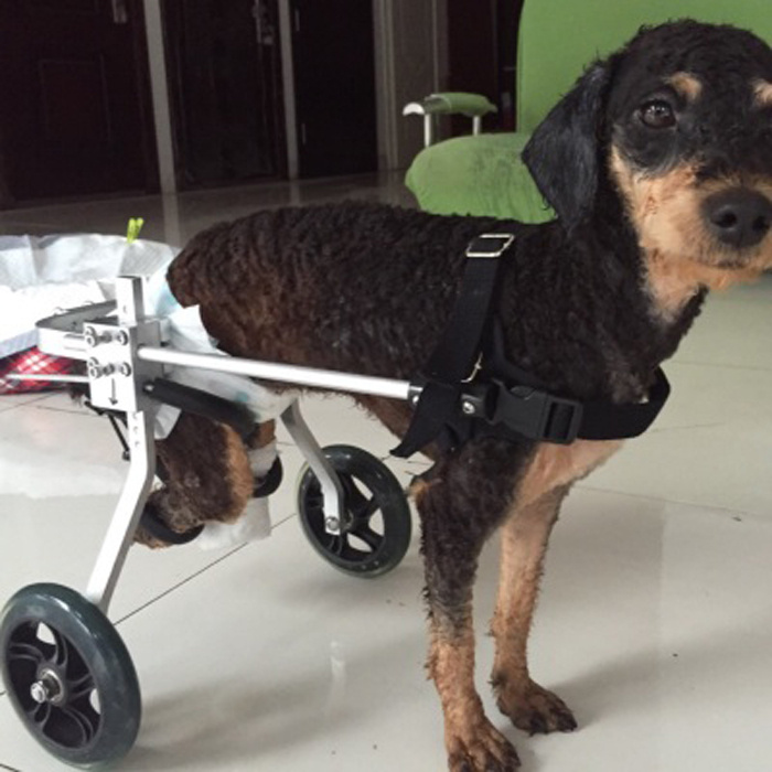 Fully Adjustable Dog Wheelchair - Image 4
