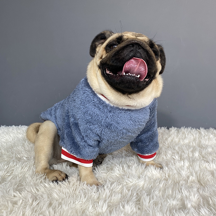 Pet Saturday Fleece Sweater For Dog