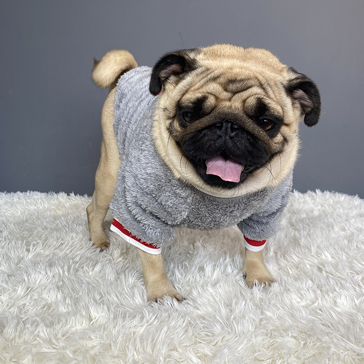 Pet Saturday Fleece Sweater For Dog - Image 4