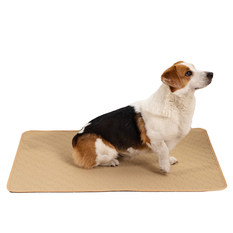 Repeated Water Absorption Pets Dog Pad
