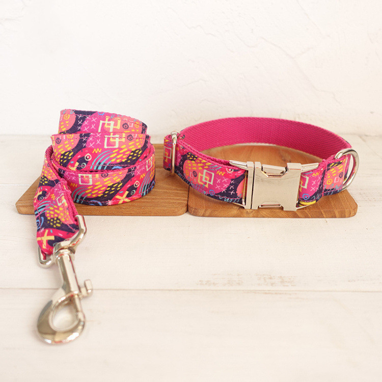 Dog Training Collar With Traction Leash