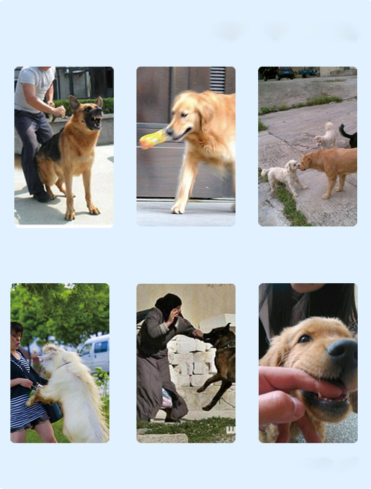 Rechargeable RC Dog Training Device - Image 5