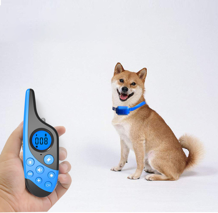 Rechargeable RC Dog Training Device