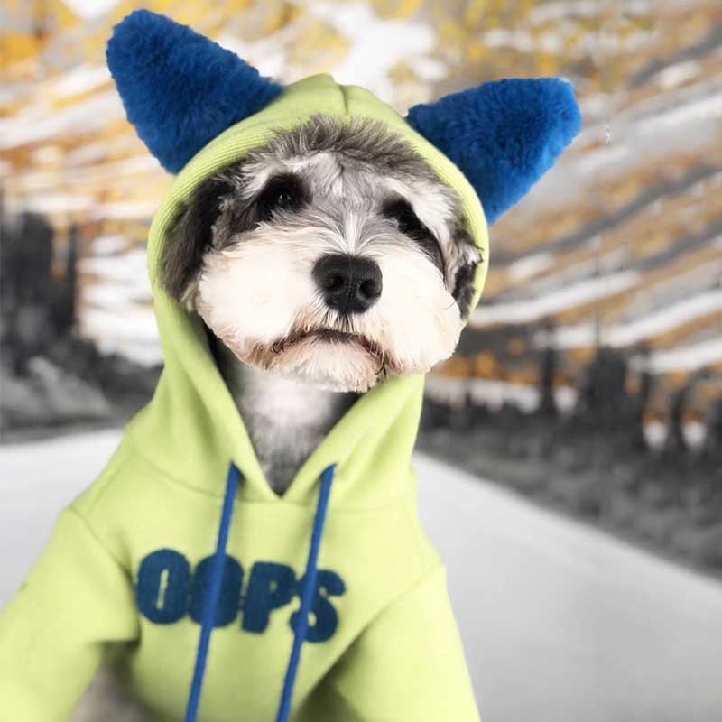 Lucky Printed Dog Cotton Pet Sweater