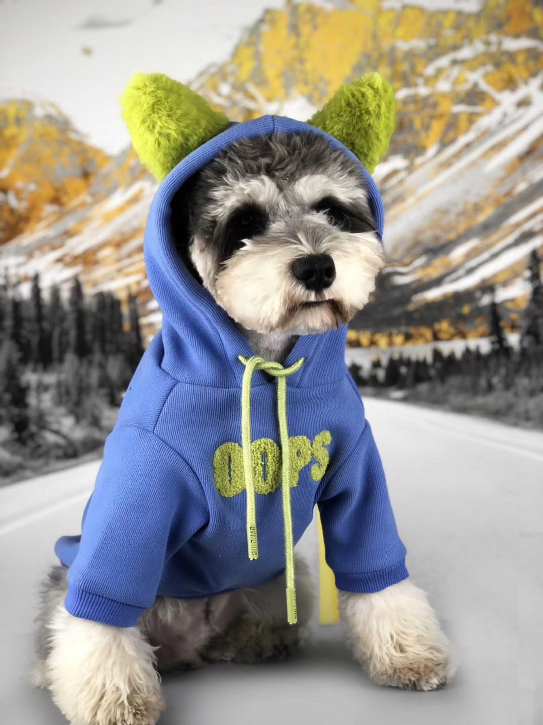 Lucky Printed Dog Cotton Pet Sweater - Image 5