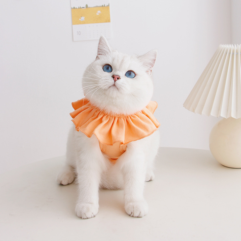 Cute Breathable Summer Thin Cat Surgical Gown - Image 5