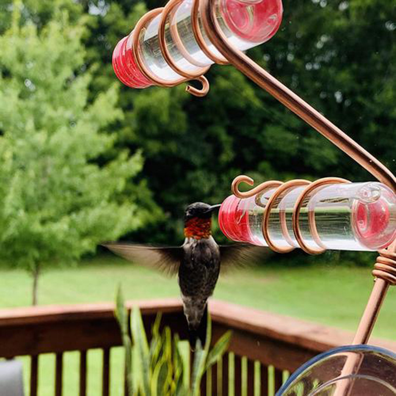 Hummingbird Garden Feeder for Wild Birds - Image 9