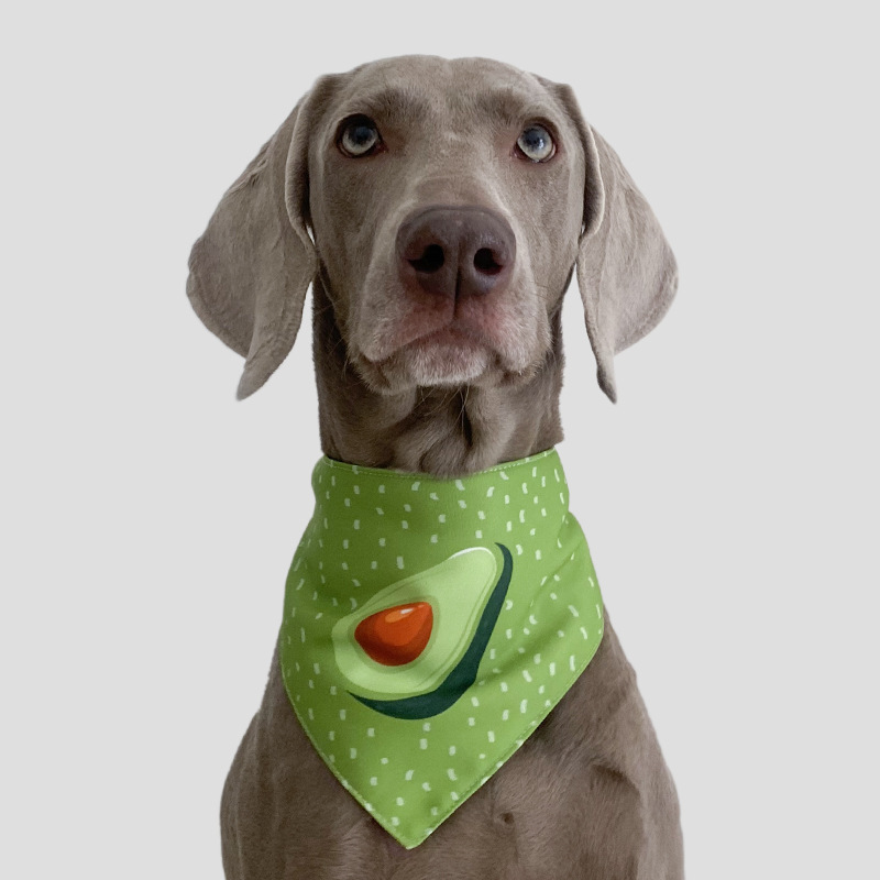 Handmade Summer Avocado Pet Triangle Scarf
