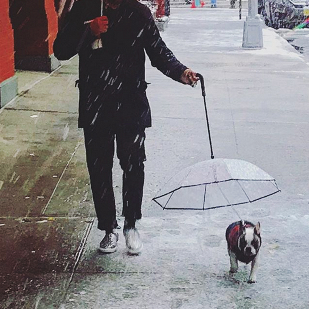 Dog's Transparent Umbrella with Traction Chain - Image 7