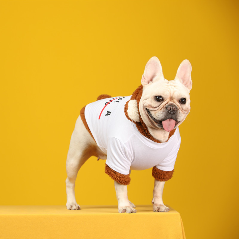 Pet Little Bear Transformed Into Two-Piece Suit