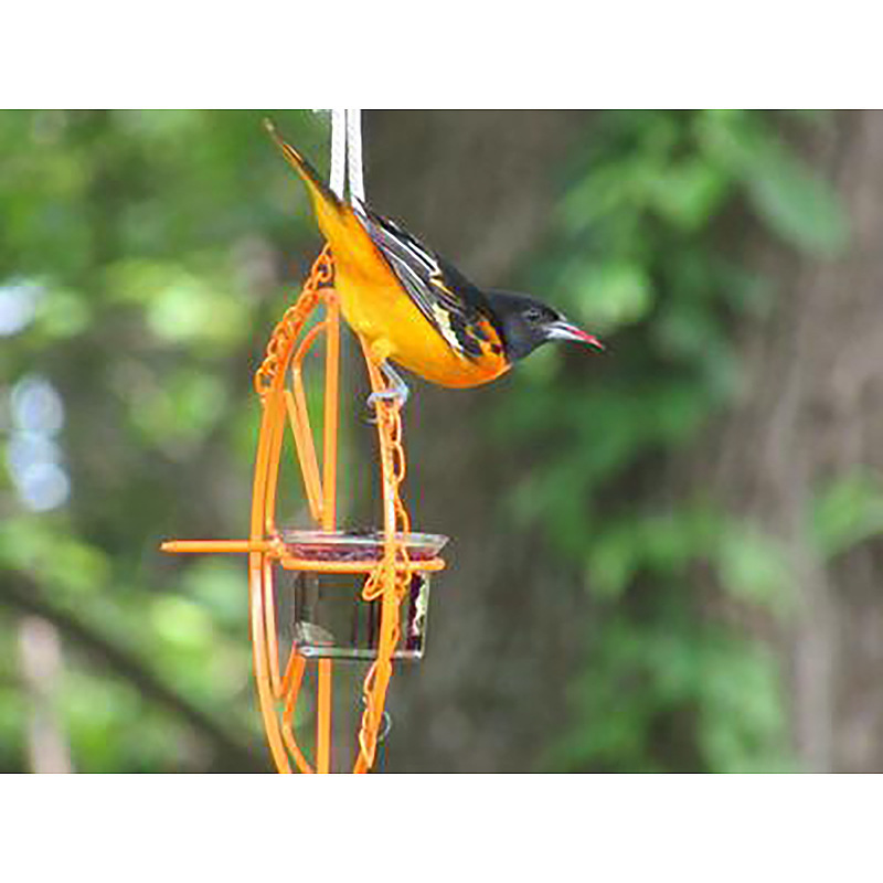 Outdoor Orange Fruit Metal Hanging Bird Feeder - Image 2