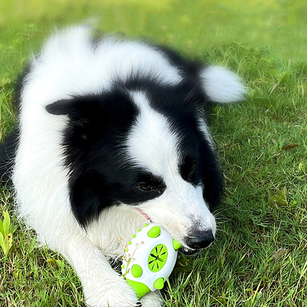 Phedgehog Shape Food Leaking Dog Toy - Image 2