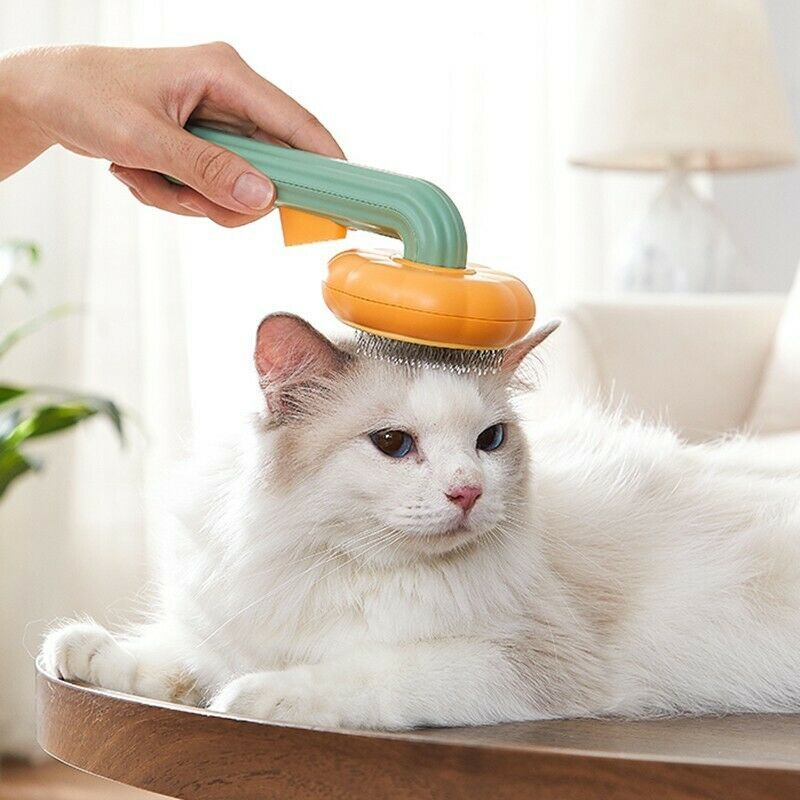 Pet Pumpkin Slicker Brush For Tangled Hair - Image 4