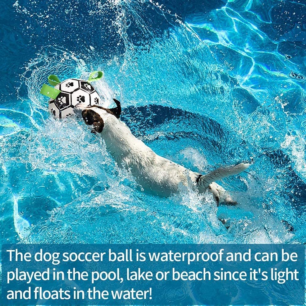 Interactive Dog Football Soccer Ball Toy - Image 9