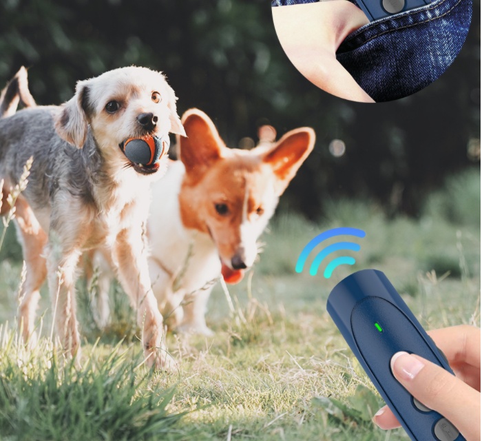 Ultrasonic Handheld Barking Stop Dog Driver - Image 2
