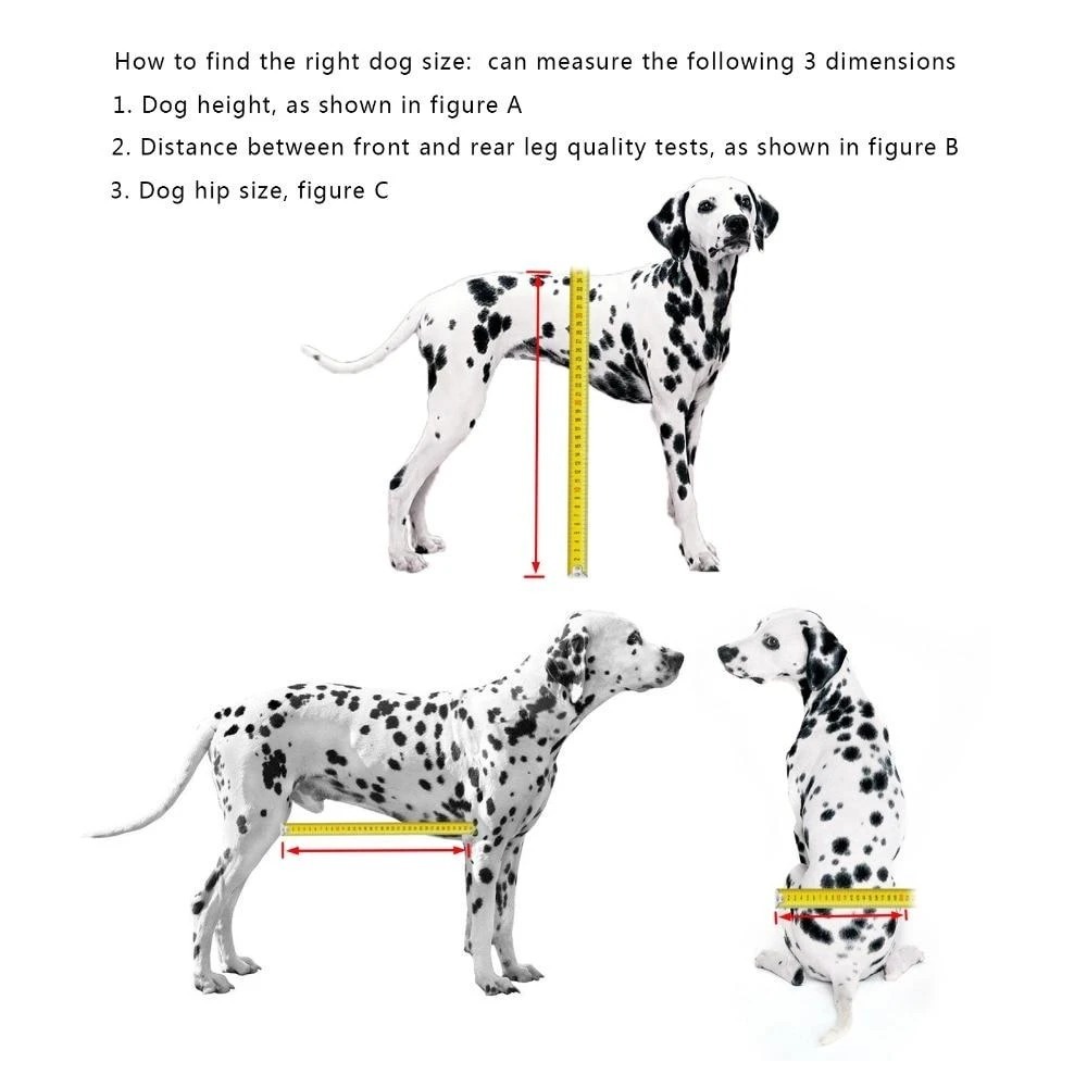 Fully Adjustable Dog Wheelchair - Image 2