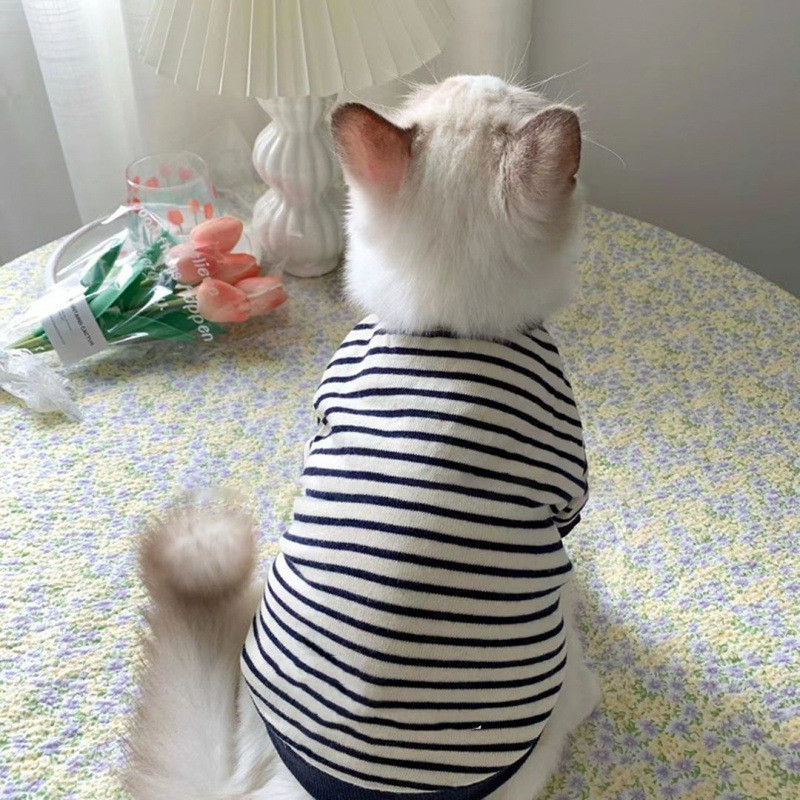 Puppet Cat Two Pod Sweater - Image 4