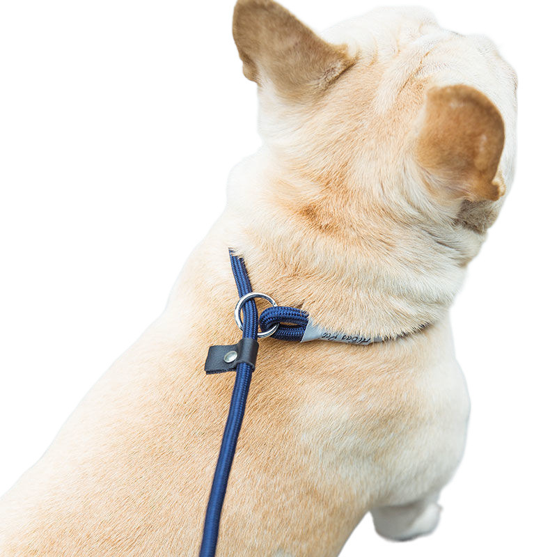 Dog Walking Training Hand Holding Rope - Image 9