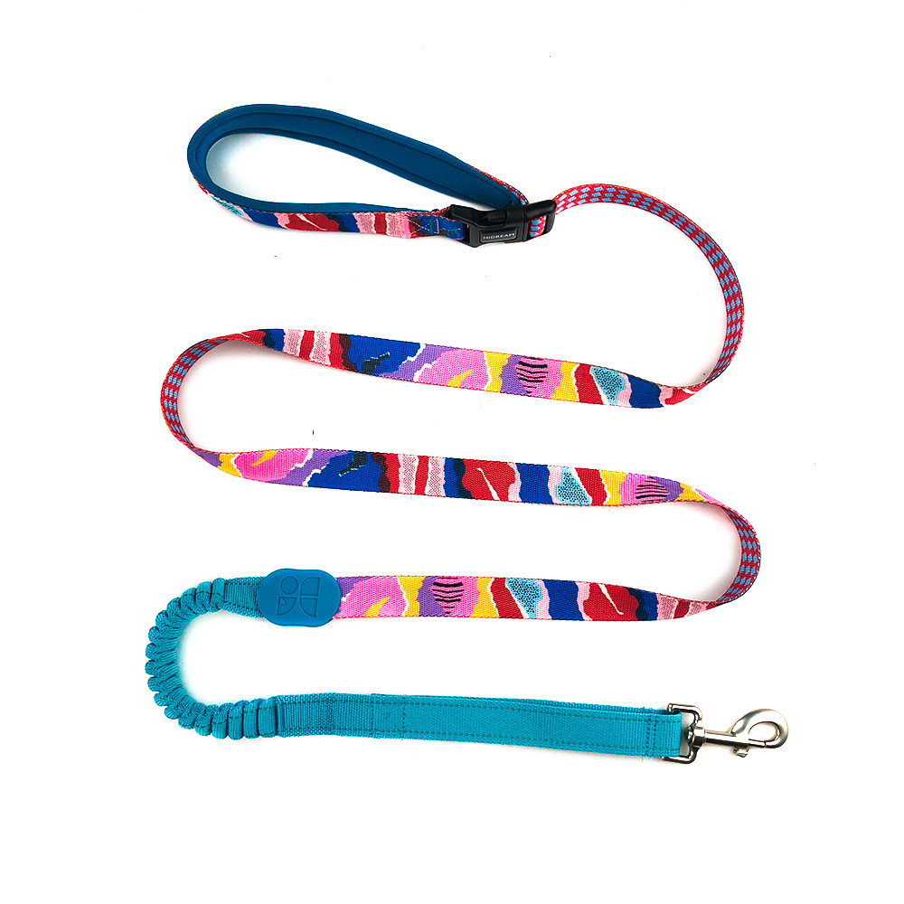 Multifunctional Buffer Pet Out Walking Dog Rope - Image 6