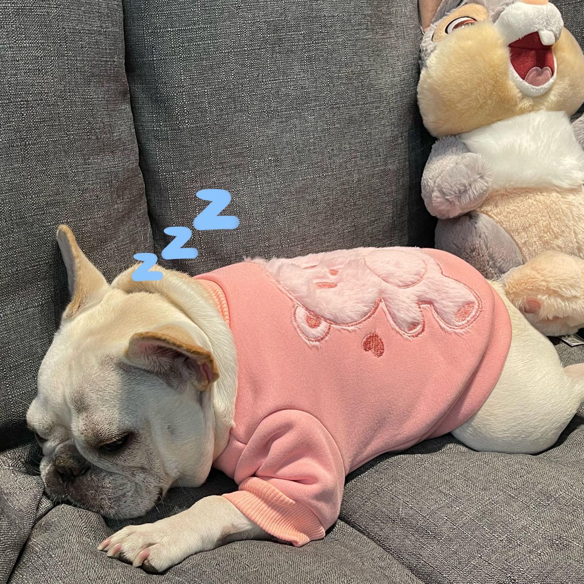 Princess Pet Dog Plush Sweater - Image 3