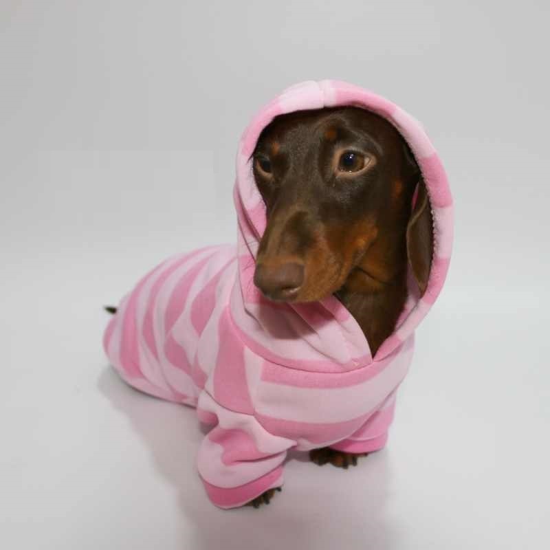 Pet Thin Velvet Pink Striped Hooded Sweater - Image 2