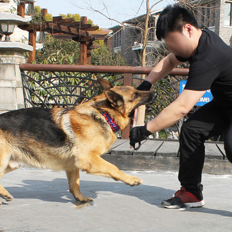 Professional Biting Dog Training Bar