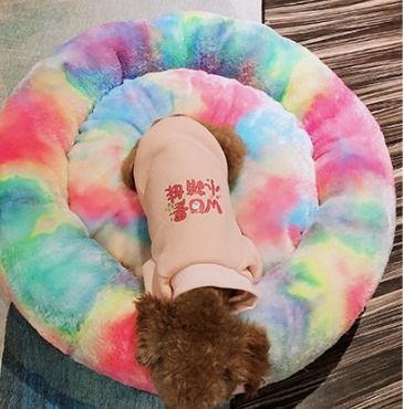 Pet Rainbow Nest - Image 4