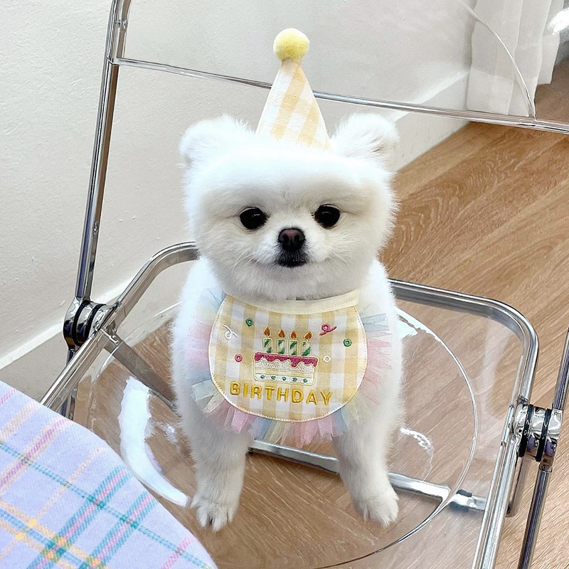 Dog Party Bib Birthday Saliva Towel