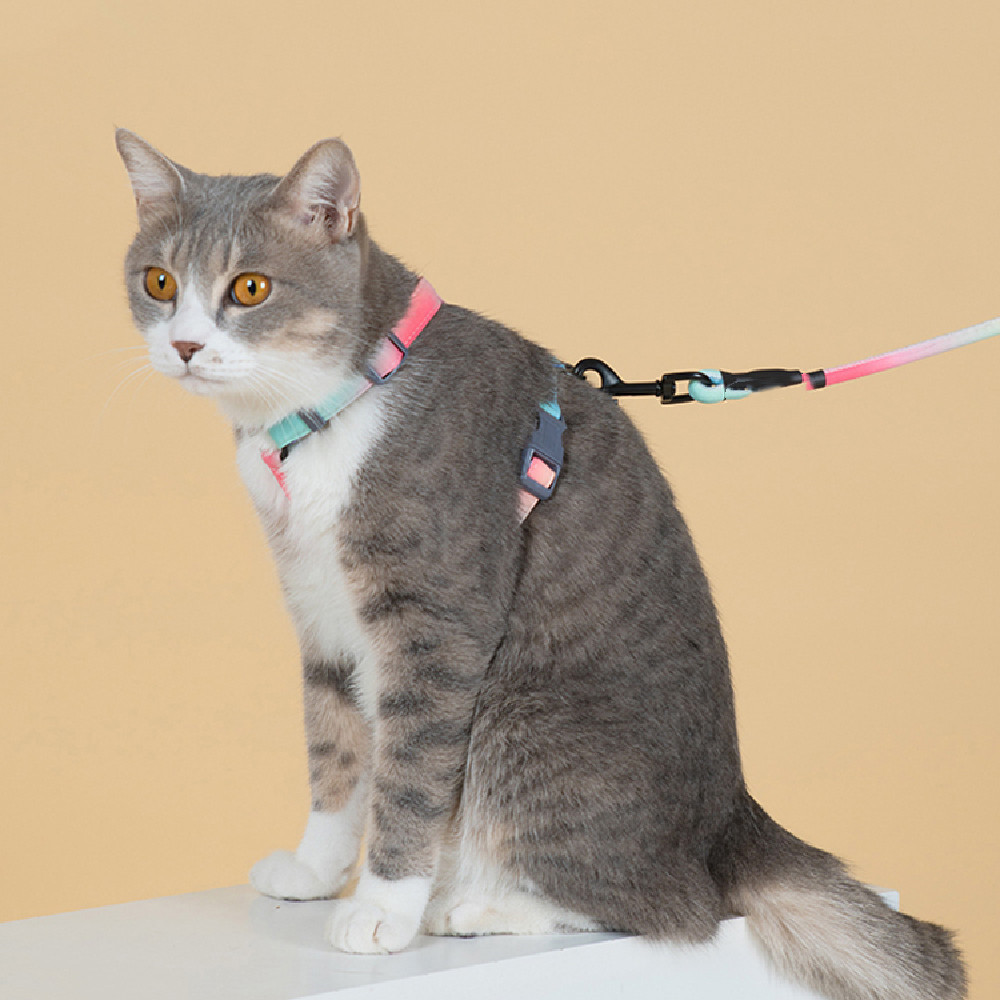 Fashion Breaking Free Cat Leash