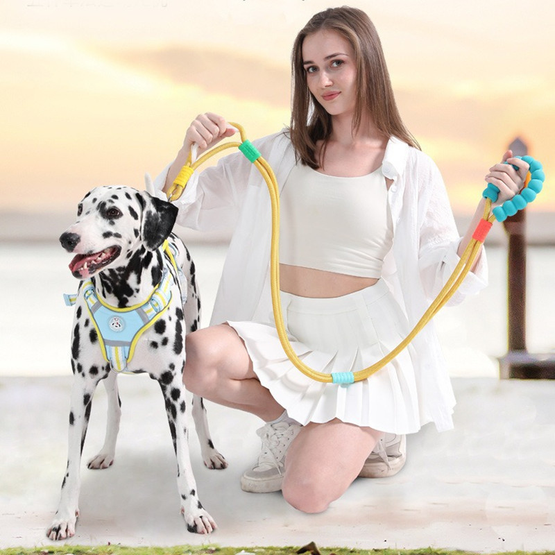 Anti-Bite Wear-Resistant Traction Dog Leash
