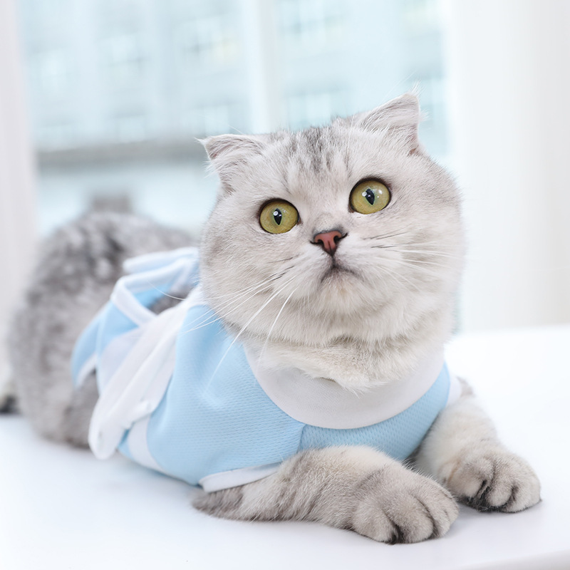 Summer Cat Thin Pet Care Suit