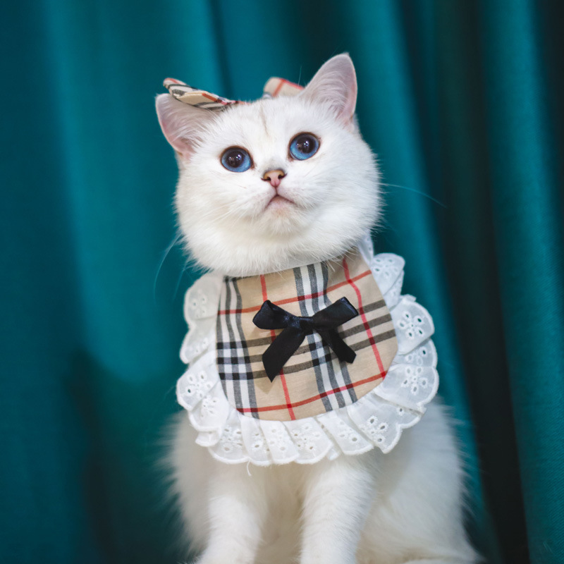 Princess Saliva Scarf Cat Lace Suit - Image 3